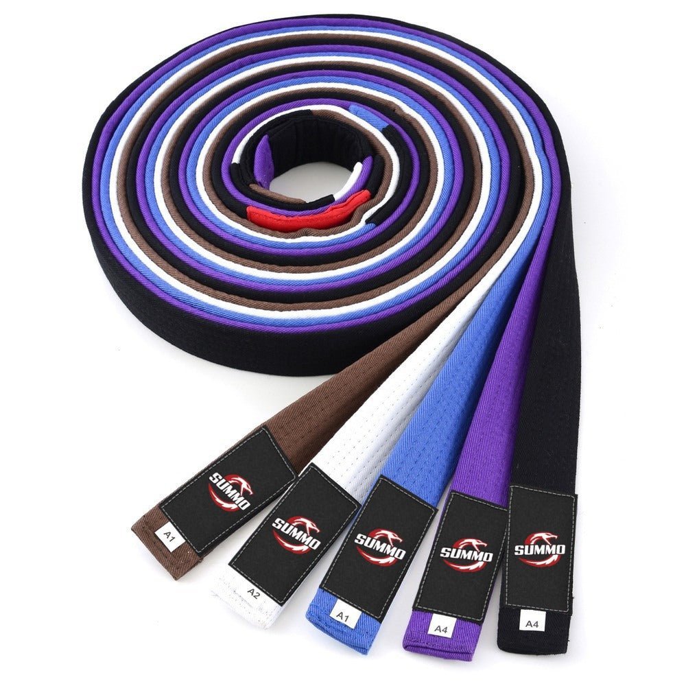 Brazilian Jiu Jitsu Belt Order: BJJ Belt Ranks Explained - Summo Sports